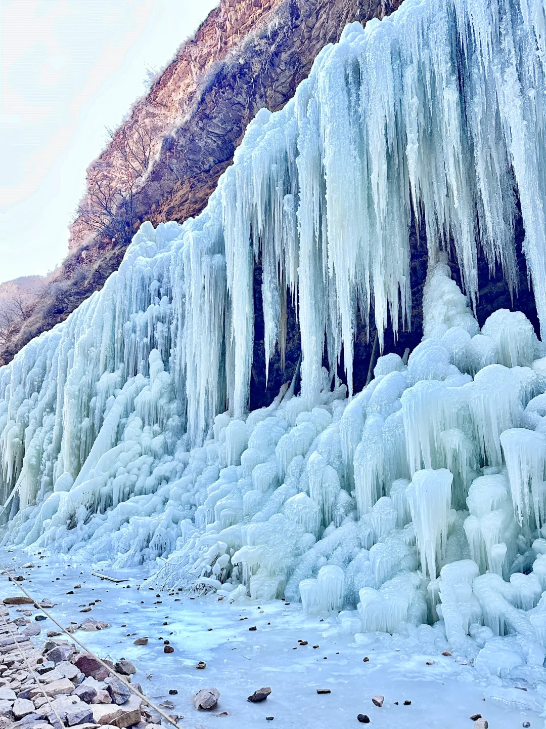 邯郸武安冰封玫瑰