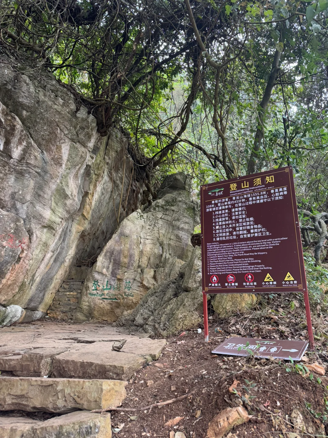 🚗 普者黑景区
