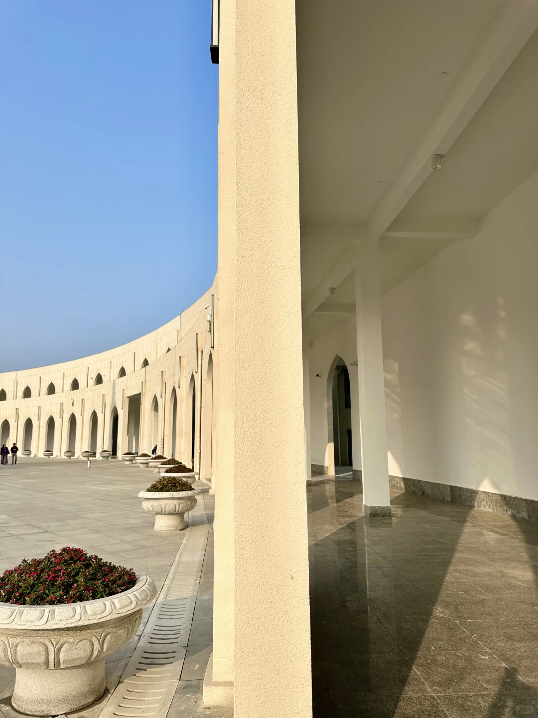 武汉这里🙏🏻!!!终于开了!!免费!!附live图!