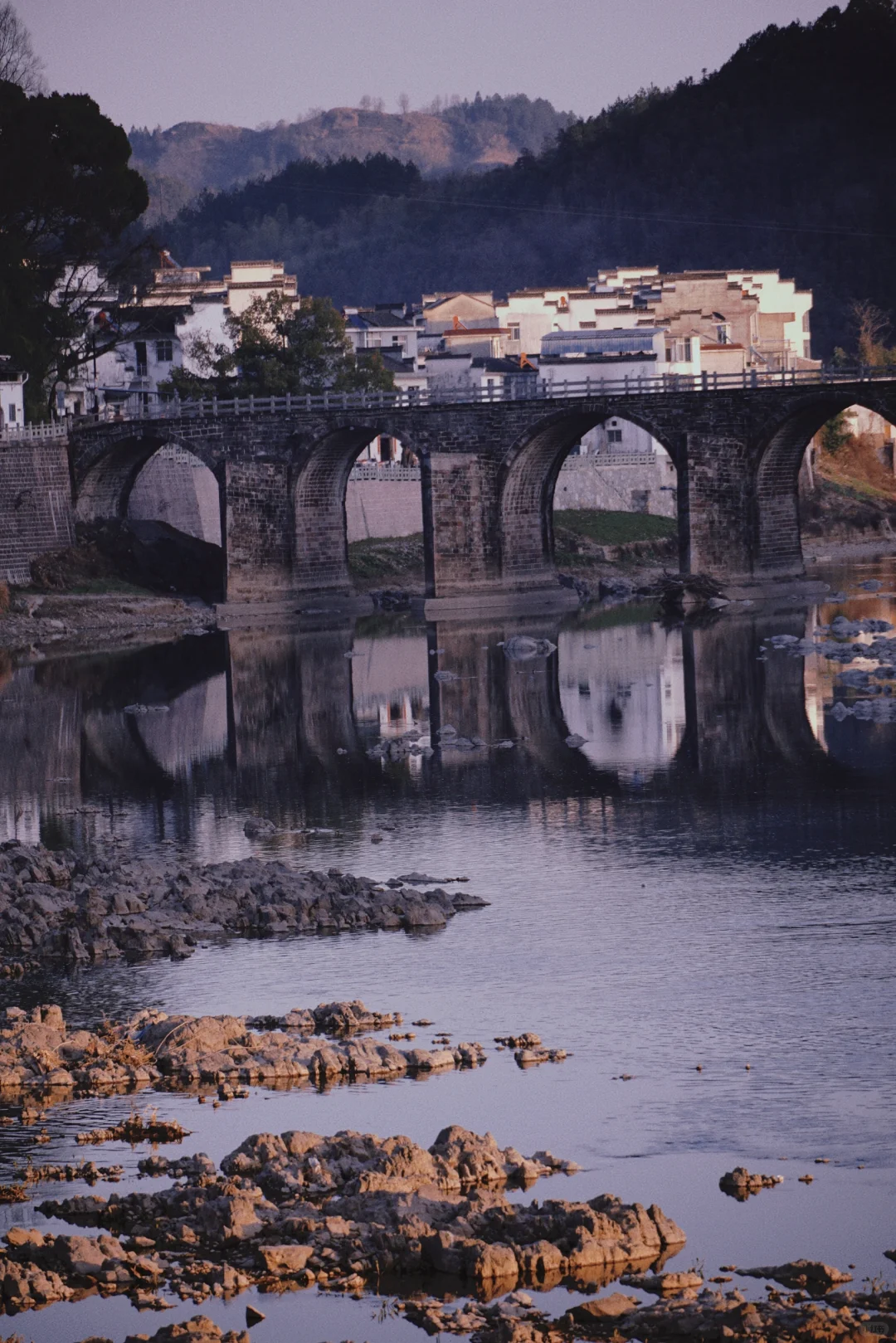 村里老板发来消息:卖花渔村梅花，全开了！