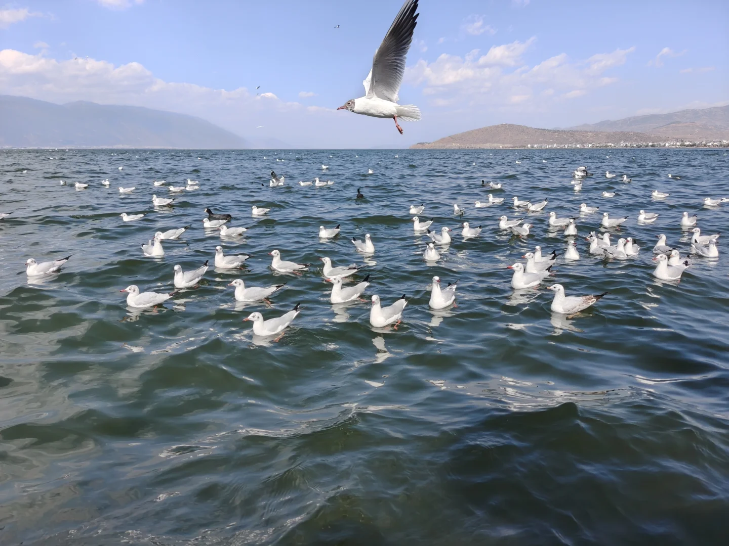 云南五日旅游攻略~昆明-大理-丽江