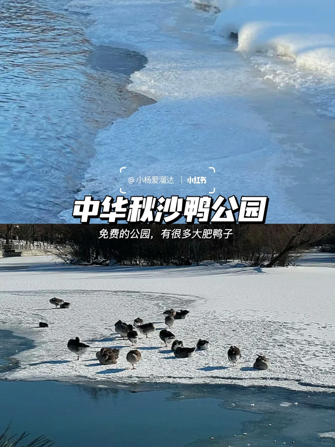 长白山天池关闭，本地人告诉你怎么玩！码住！