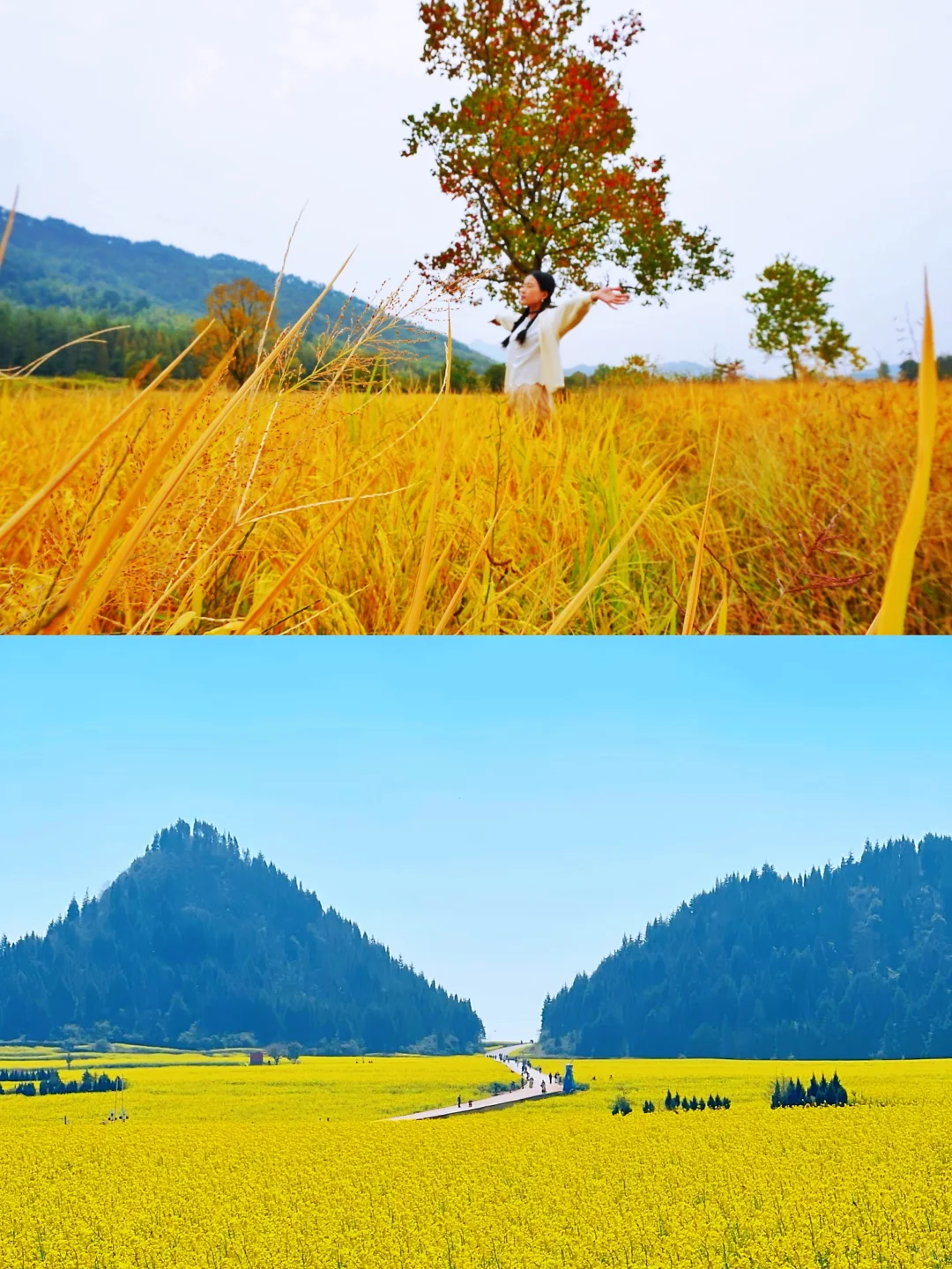 🏮春节后错峰出游 | ✨小众宝藏地大放送
