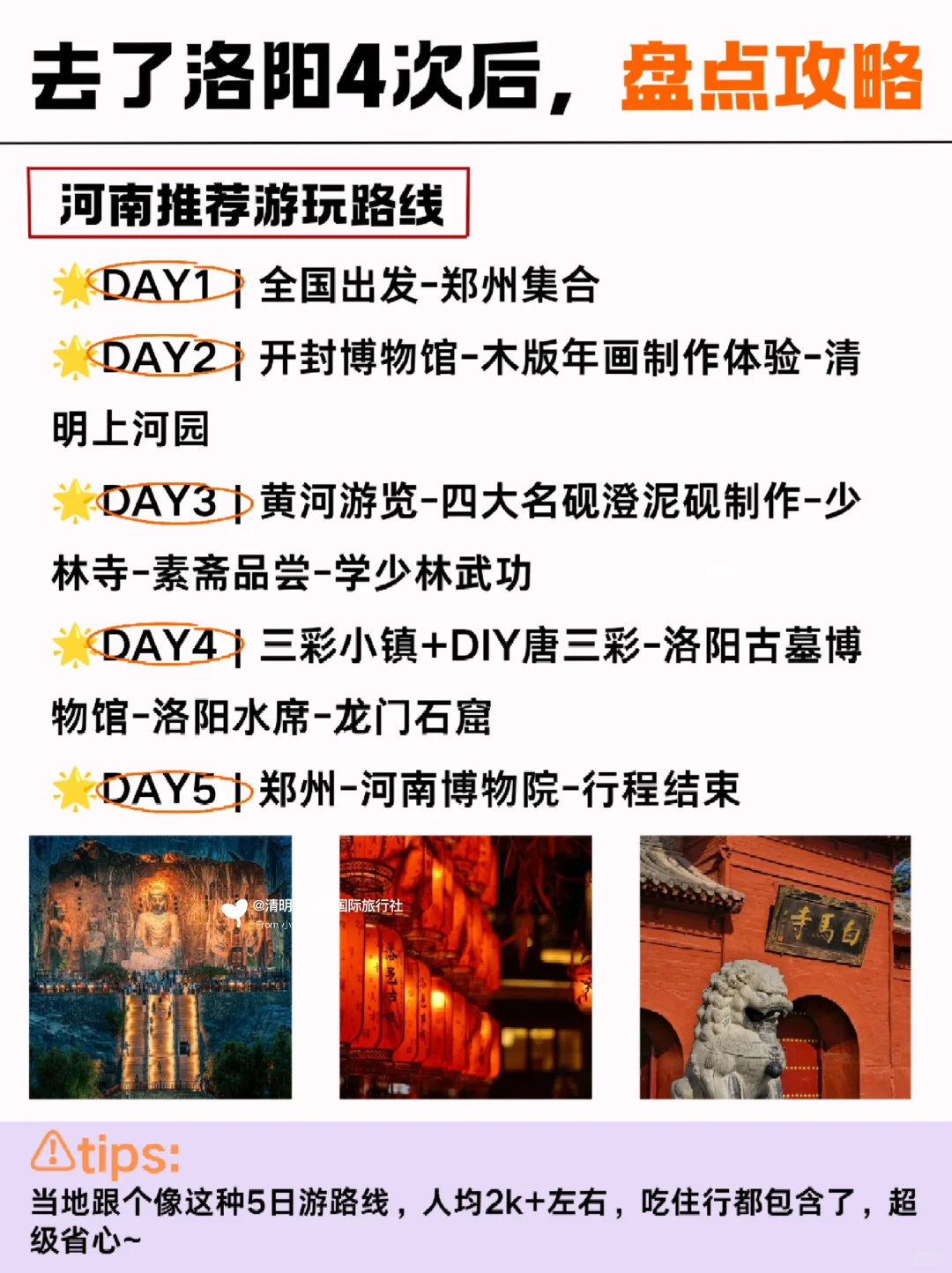 带娃去洛阳听劝😭熬夜总结❗保姆级攻略❗