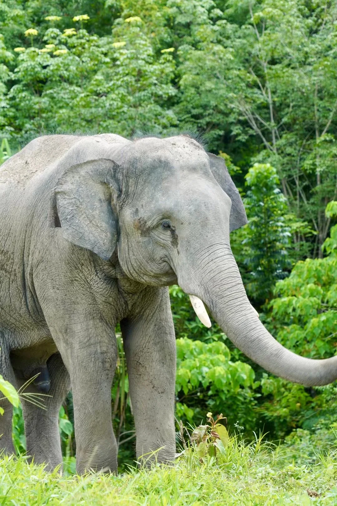 🌟普吉岛保姆级攻略