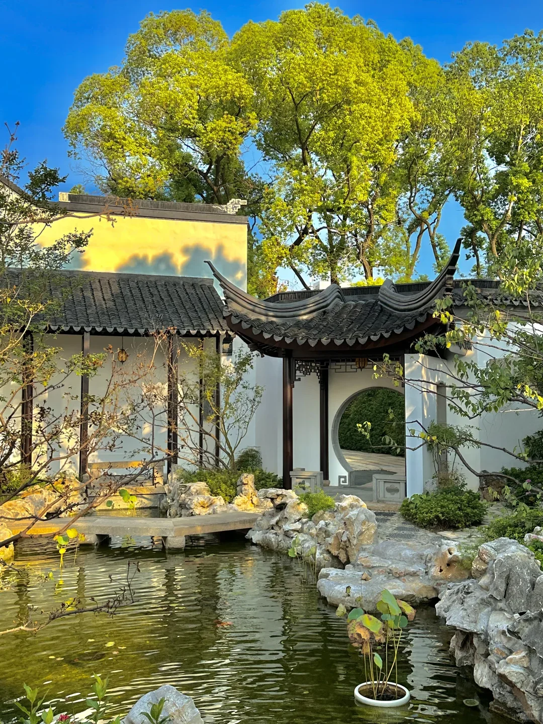 苏州 | 超详细的旅游攻略🌆