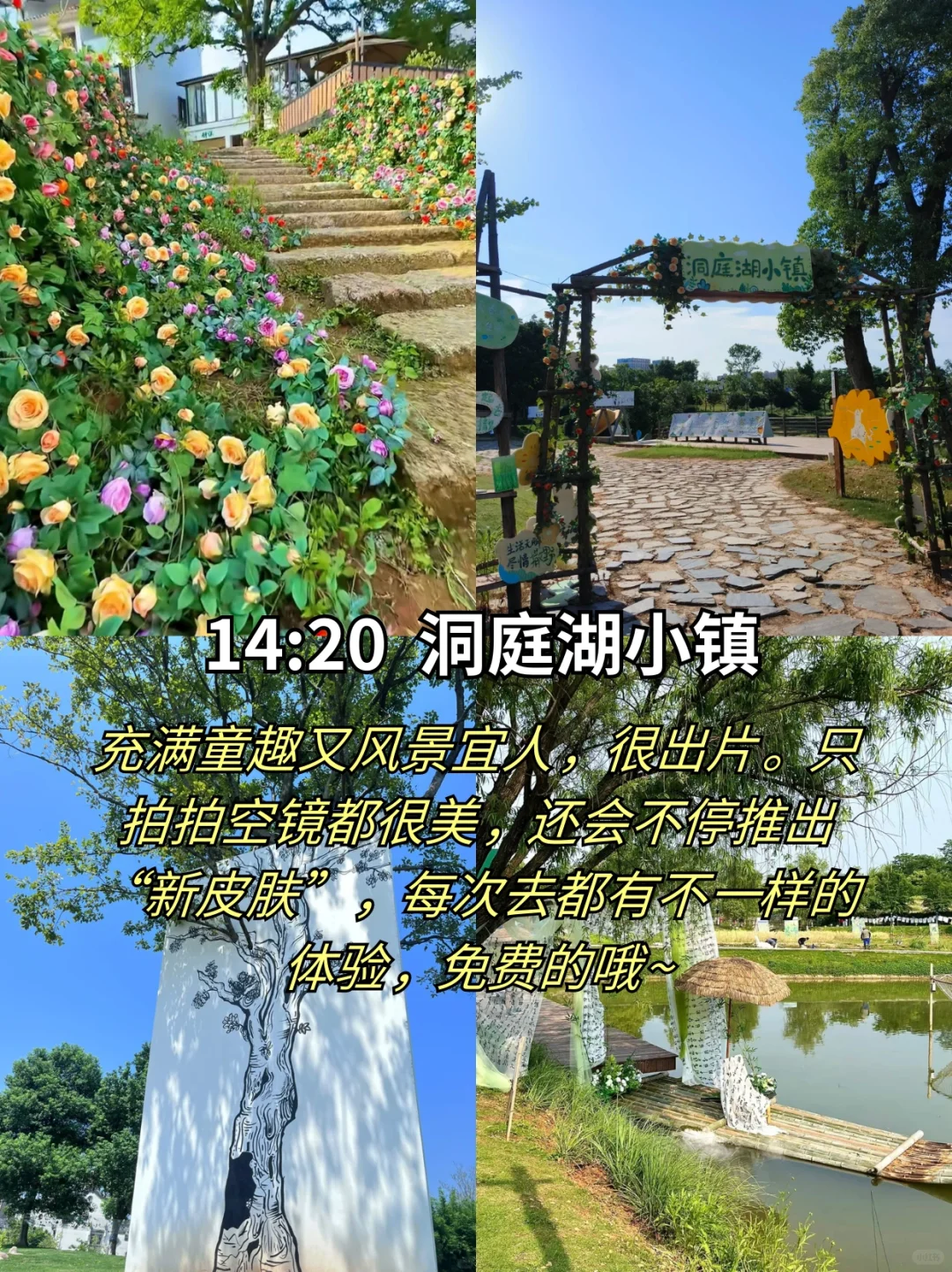 岳阳一日游✔️24小时极限逛完8个景点‼️