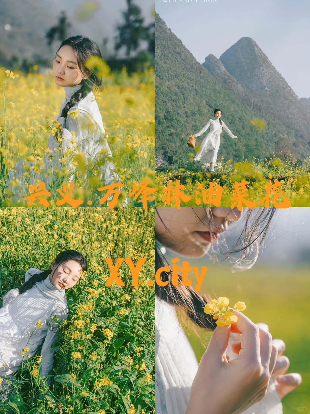 ‼️立春｜万峰林油菜花春日氛围感🌼