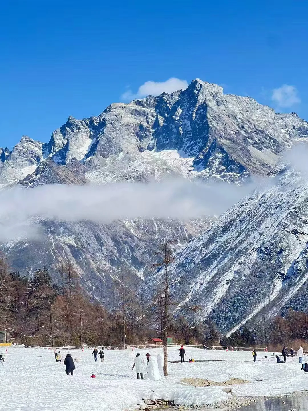 2.10📍重庆-毕棚沟报团已回，劝退不了…