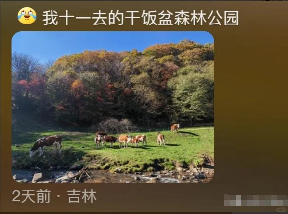 终于知道东北景点都不宣传的原因了哈哈哈