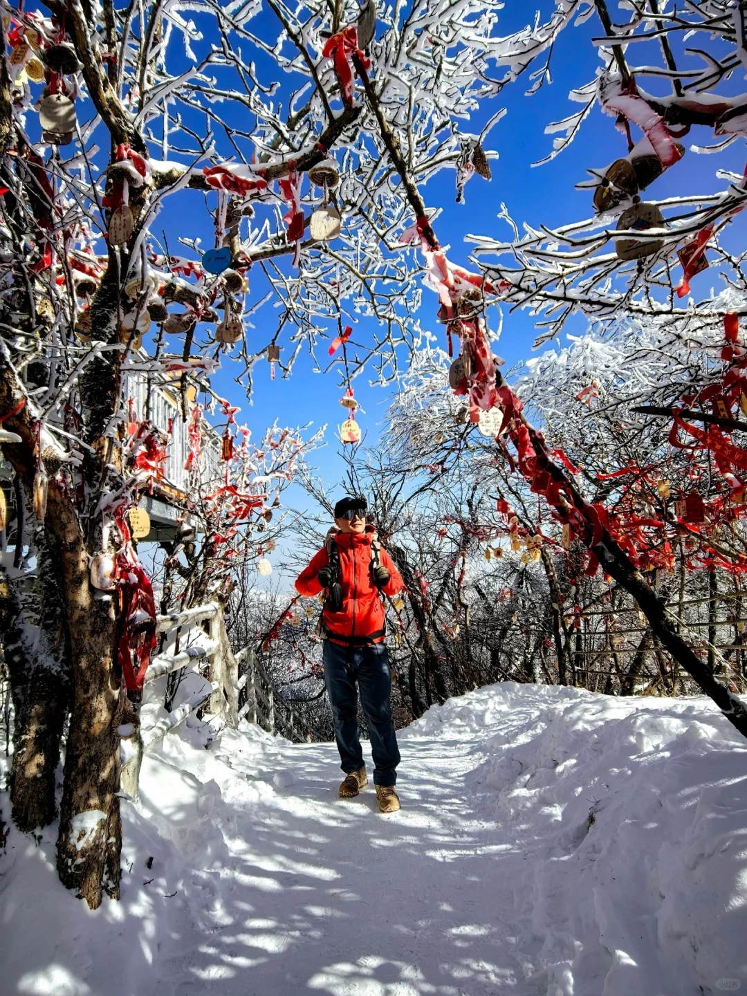 2.9📍郴州受冻已回，真心提醒2-3月来的