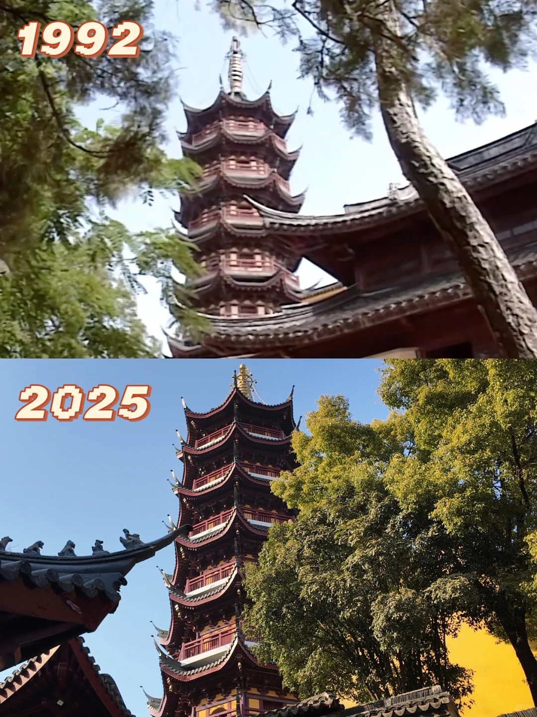 来鸡鸣寺只干一件事👀