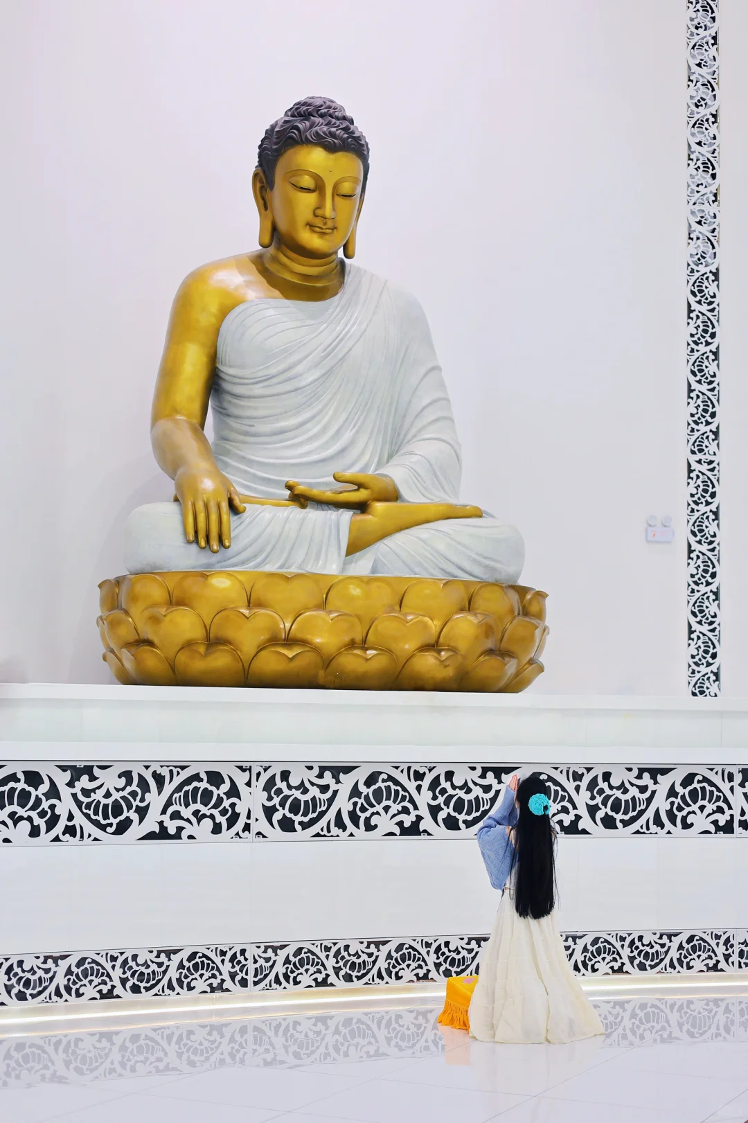 武汉这里🙏🏻!!!终于开了!!免费!!附live图!