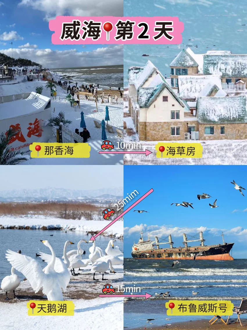 冬天的威海,你简直美的过分❗❗