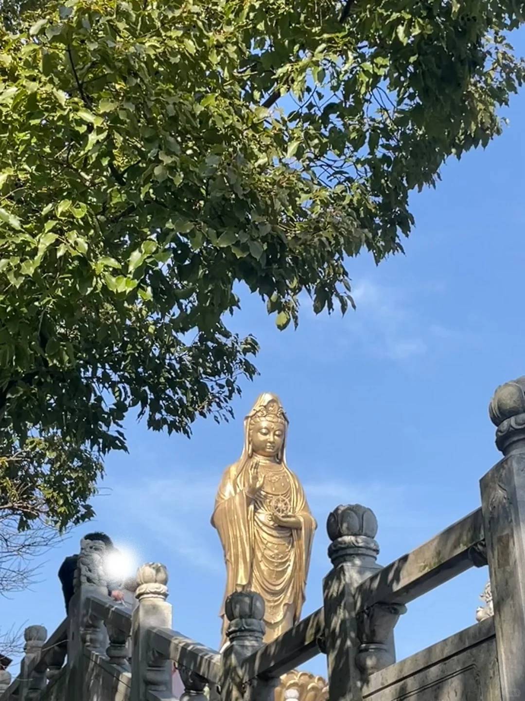 🙏普陀山不早起暴走攻略｜7h解锁精华景点✅