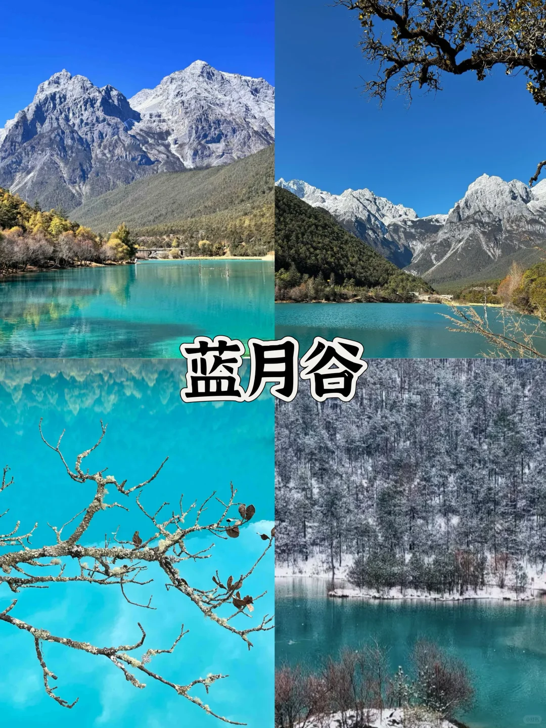 云南必去的十个景点游玩攻略🔥