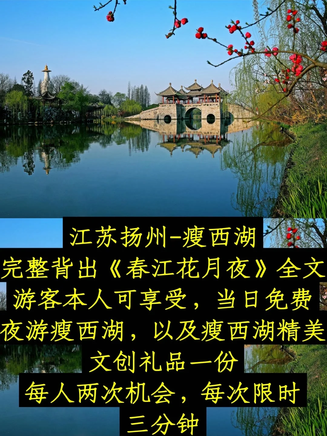 带着古学去旅行