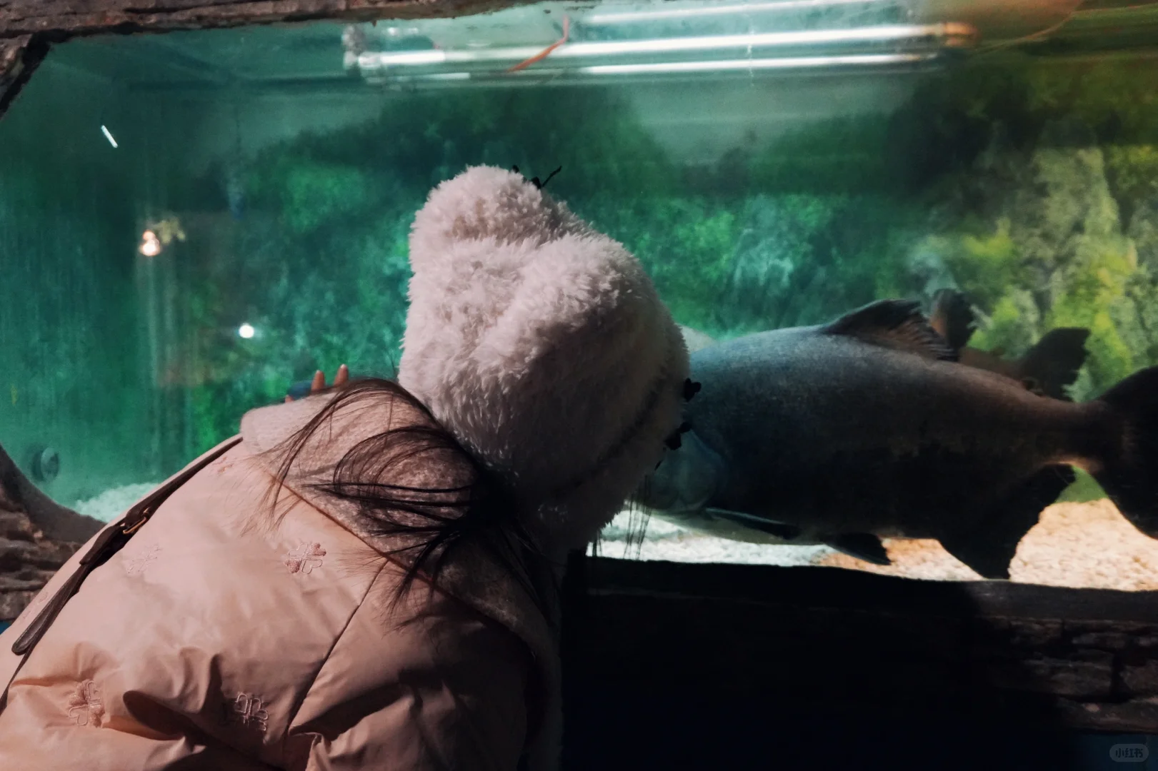 我想和你在南京牵手