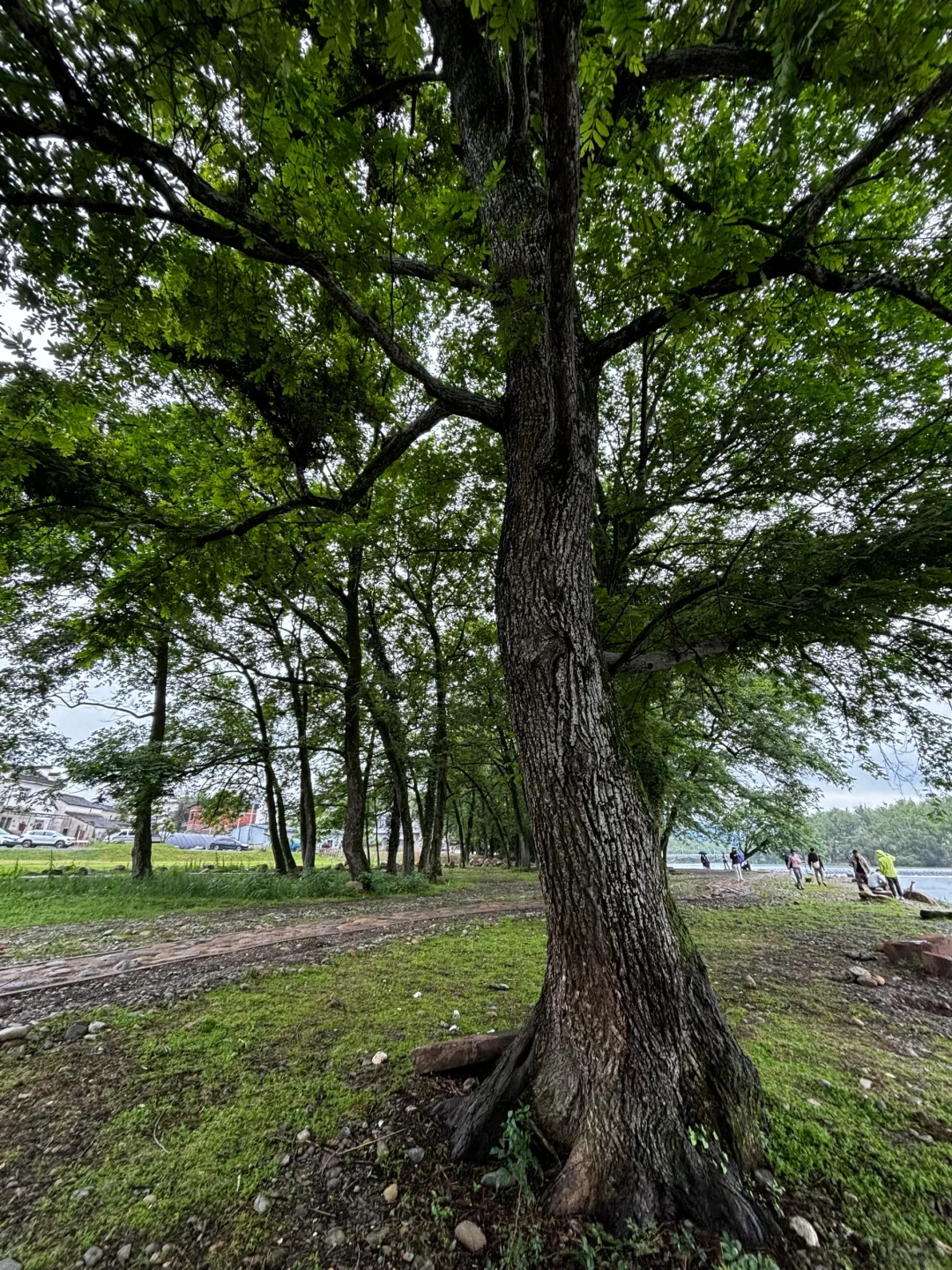 之我最爱的西溪南