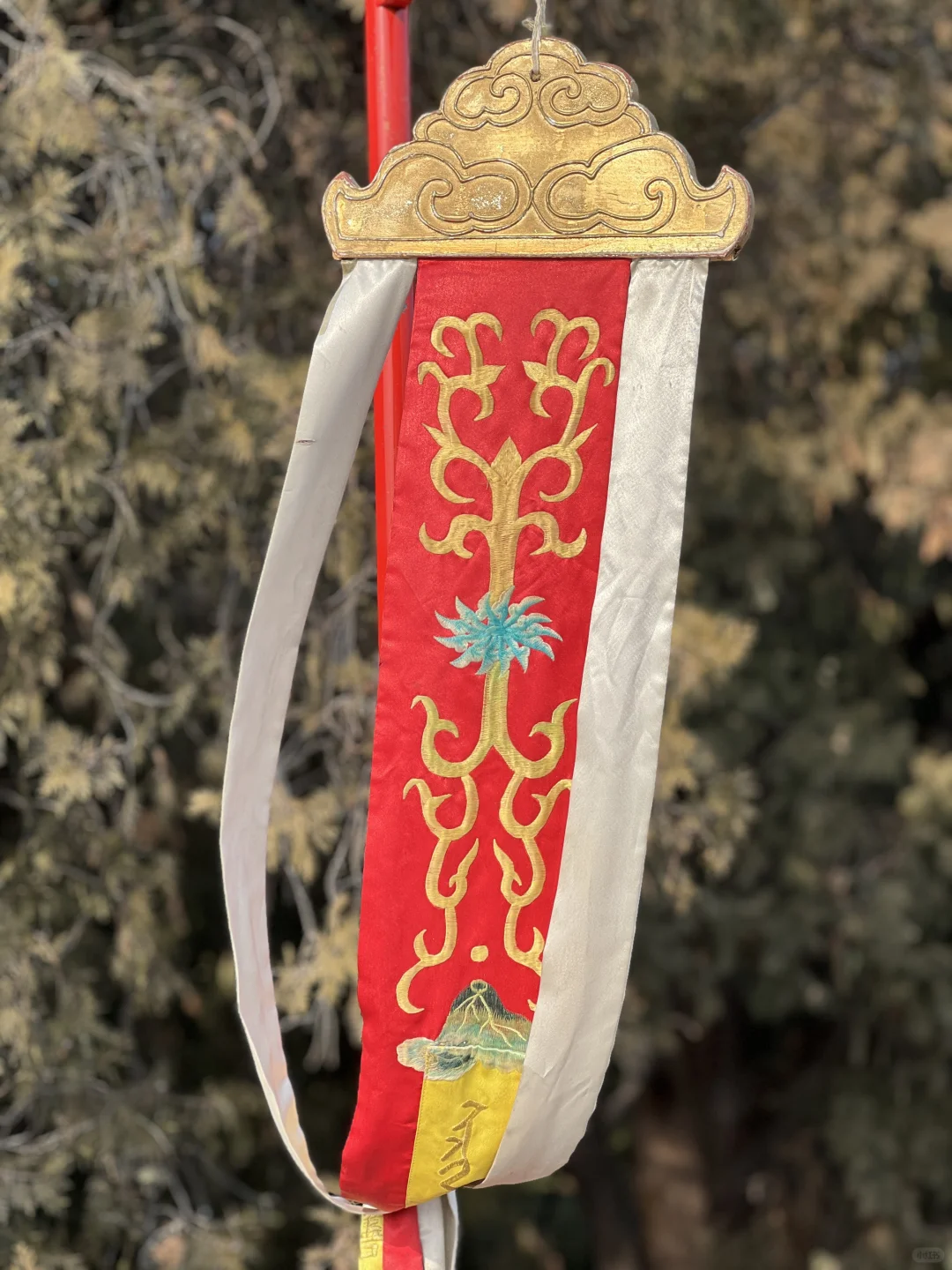 大年初二,天坛拍到了人生照片!