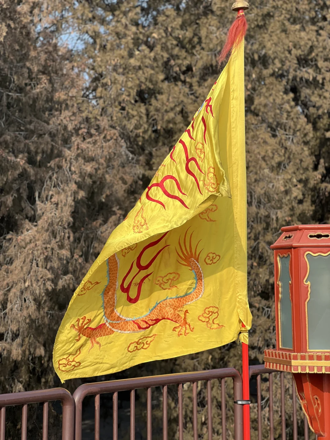 大年初二,天坛拍到了人生照片!