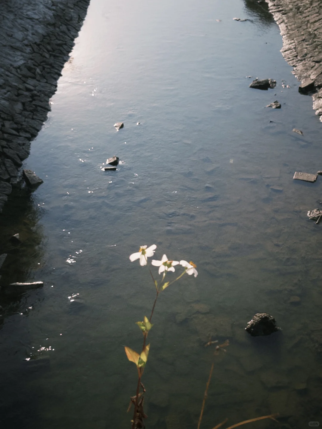 泉州最小众的景点