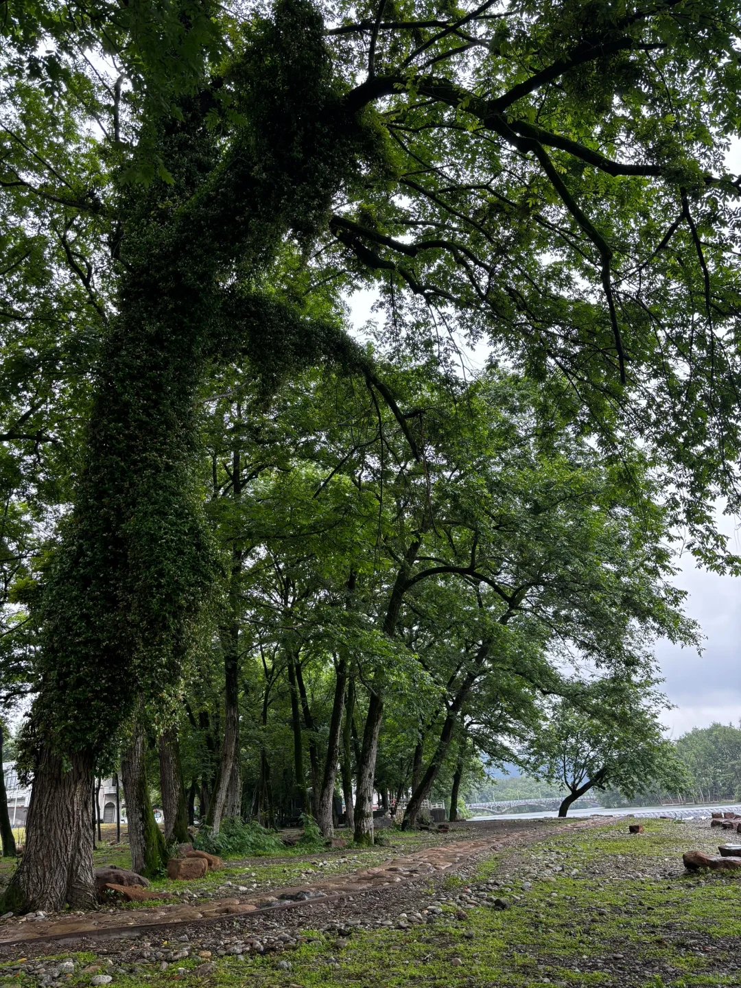 之我最爱的西溪南