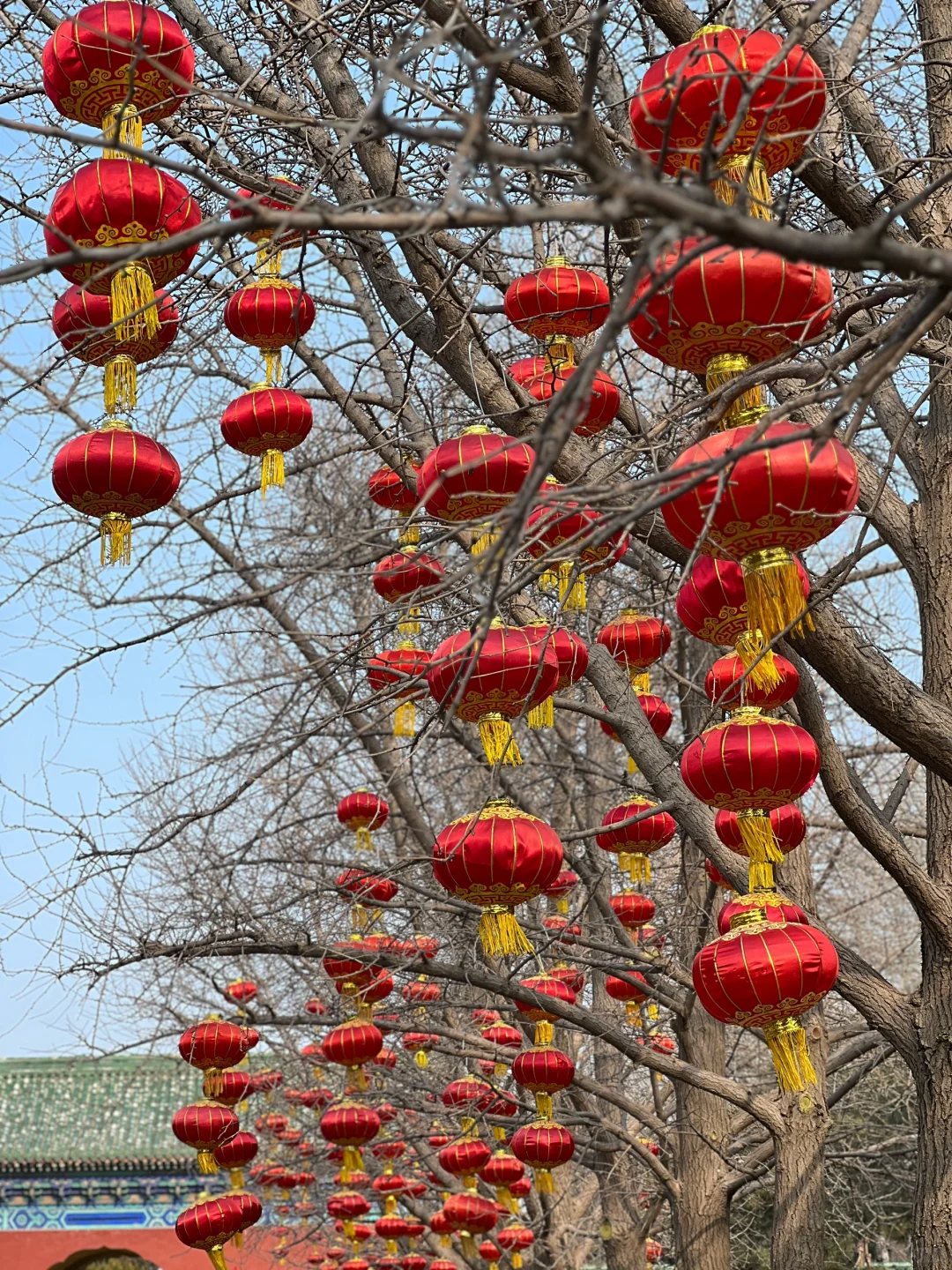 大年初二,天坛拍到了人生照片!