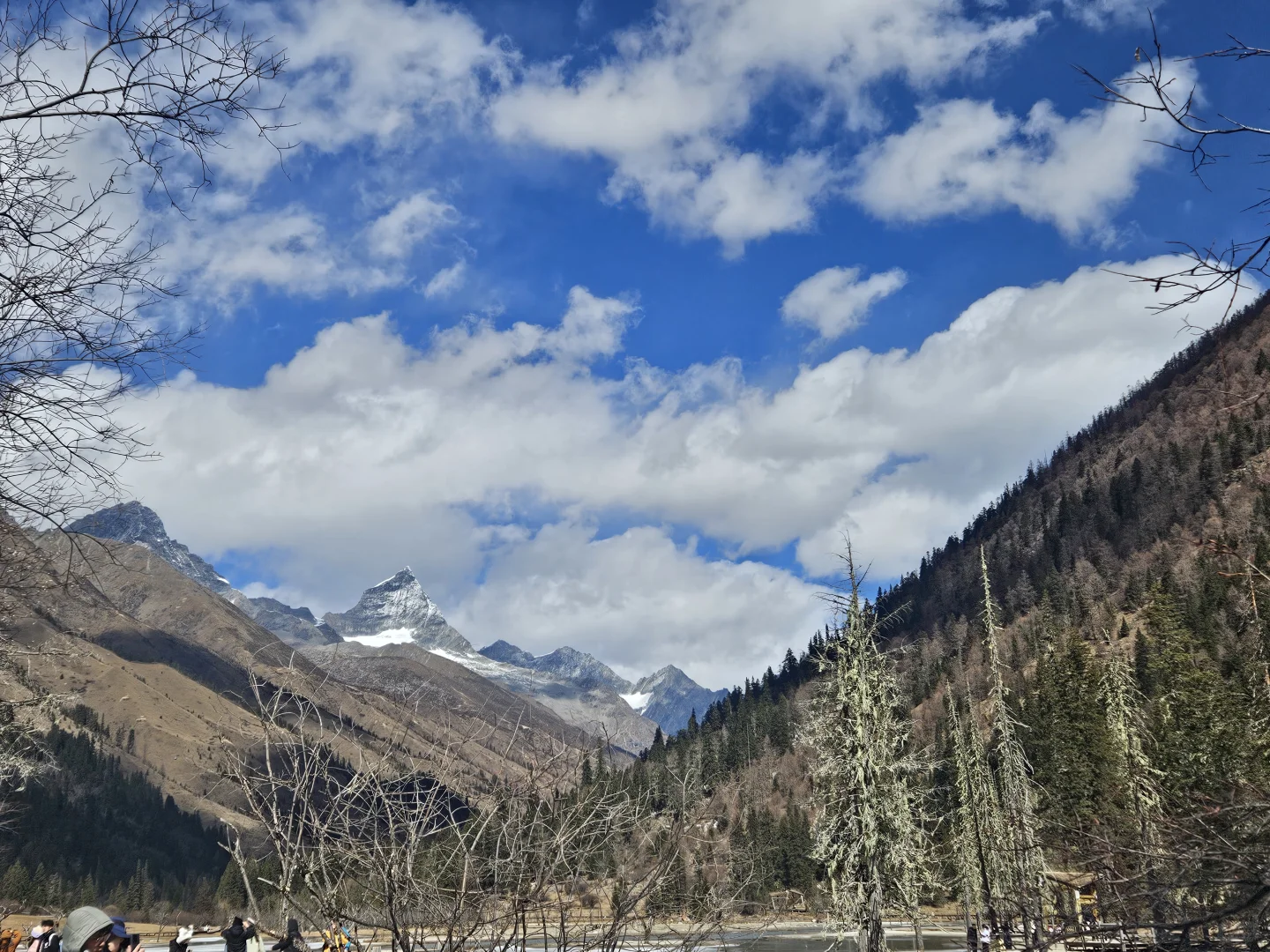 四姑娘山——双桥沟