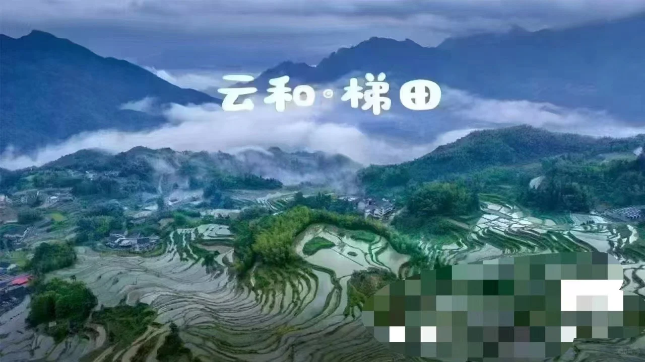 浙江文旅年卡199，特价只要119哟