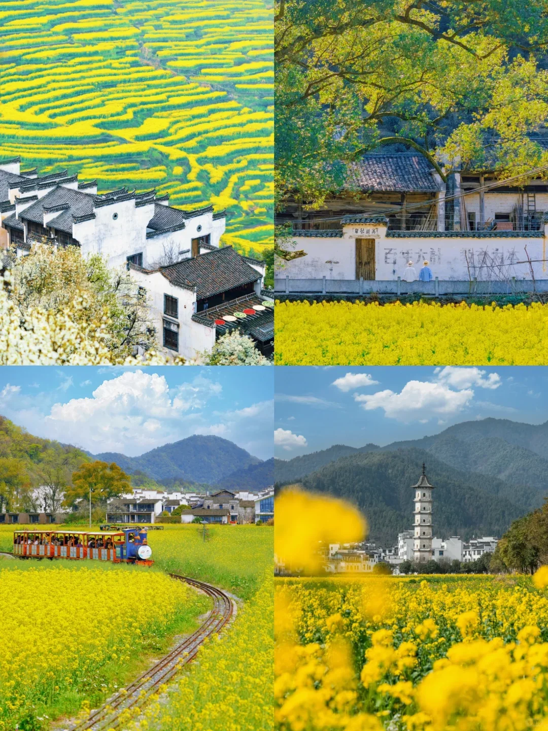 给小米做の景德镇+婺源团建旅游，被夸了❗