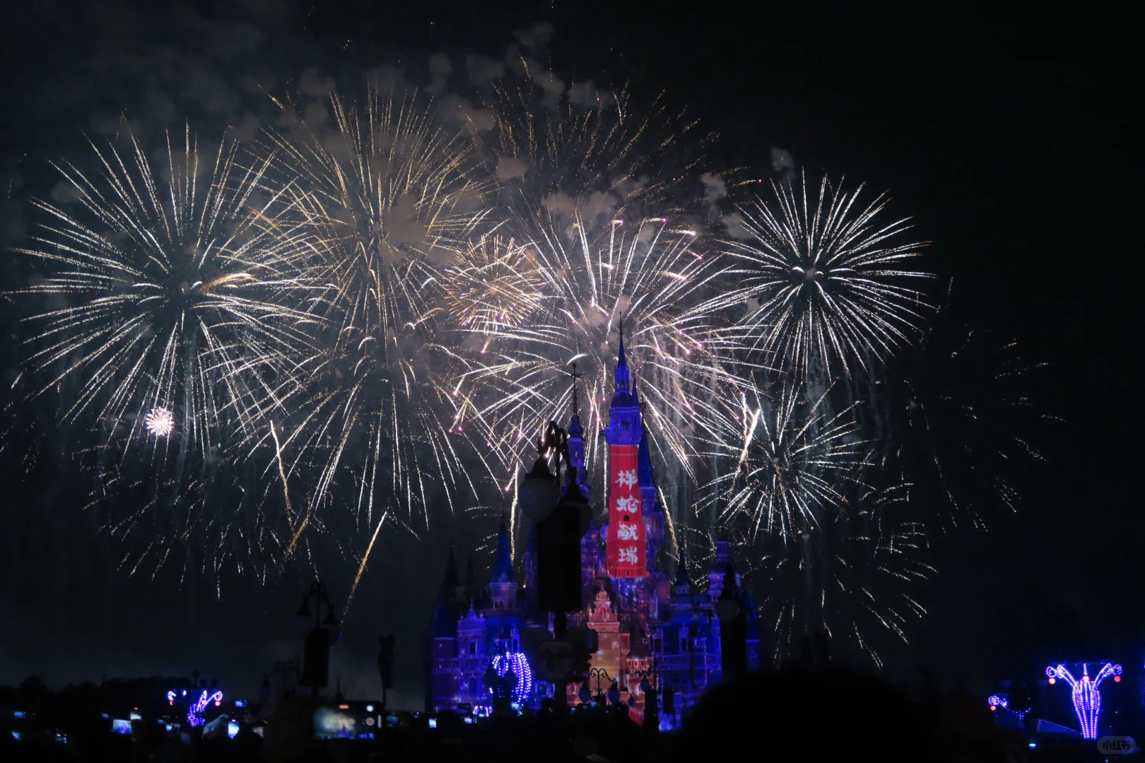 赶在新年的尾巴、分享我的新年快乐