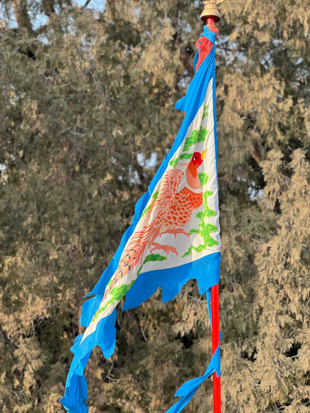 大年初二,天坛拍到了人生照片!