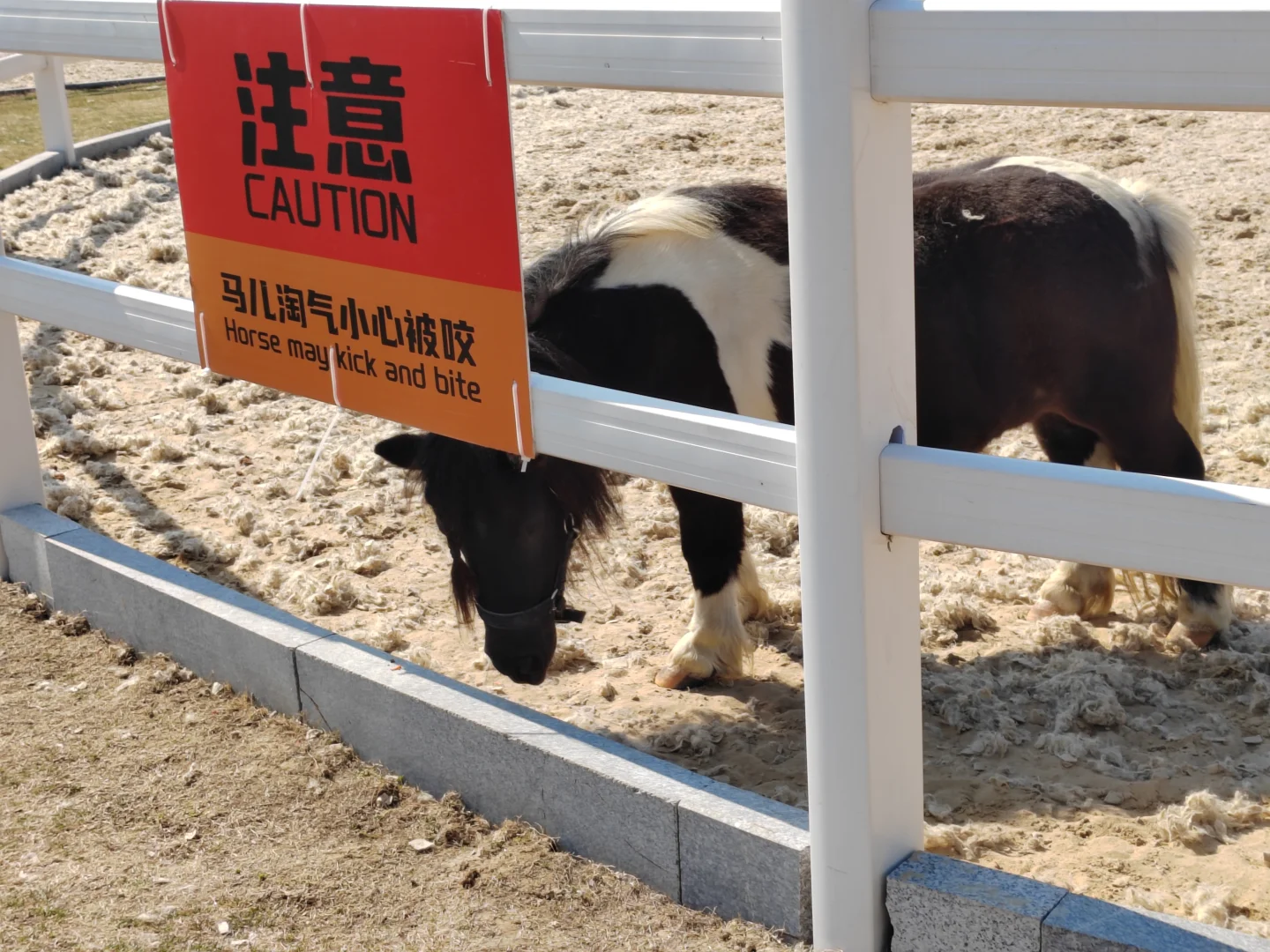 潇洒千年，最美桐庐