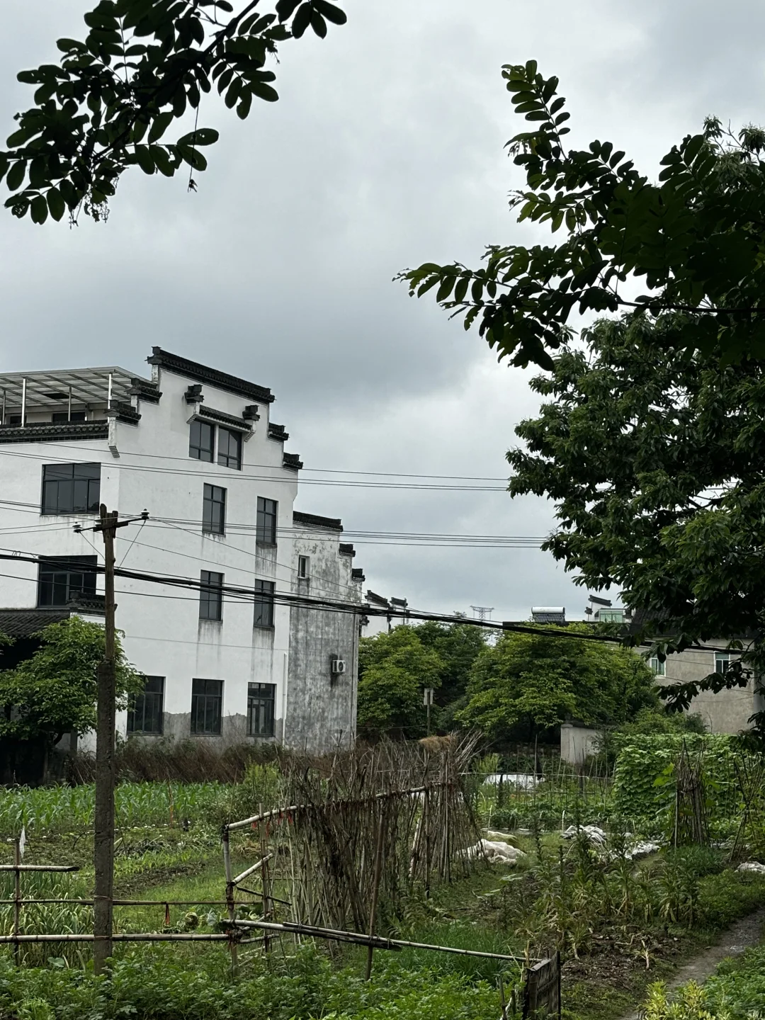 之我最爱的西溪南