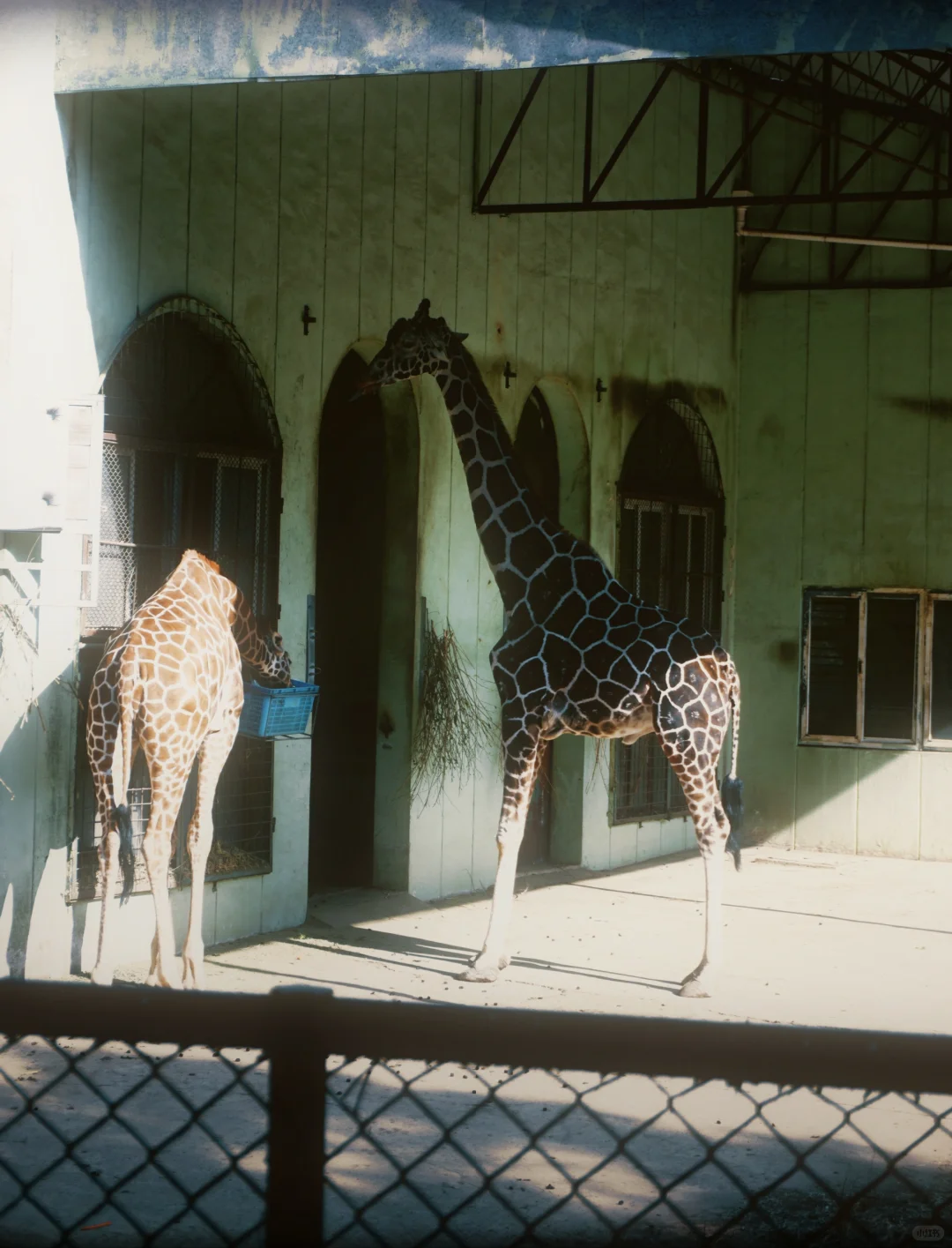 我想和你在南京牵手