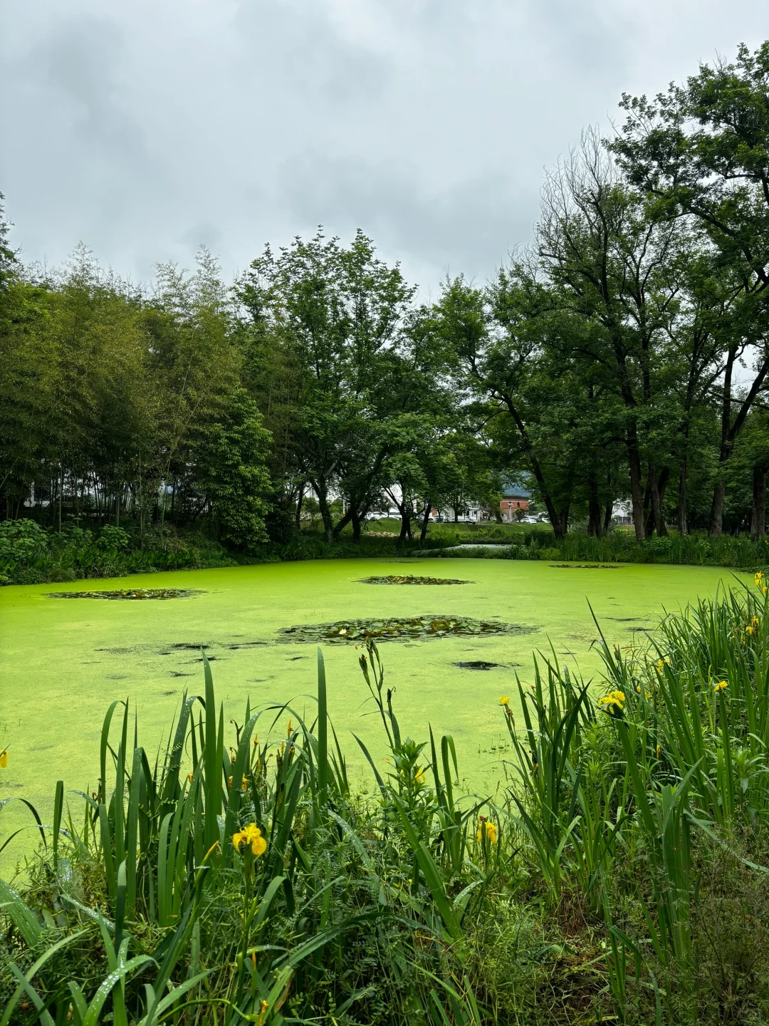 之我最爱的西溪南