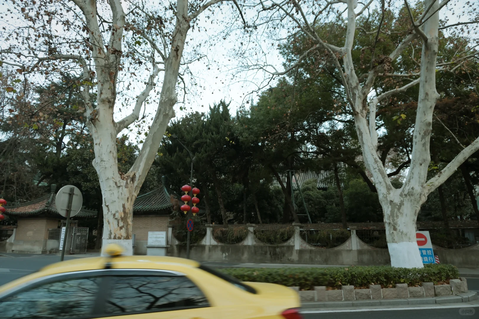 我想和你在南京牵手