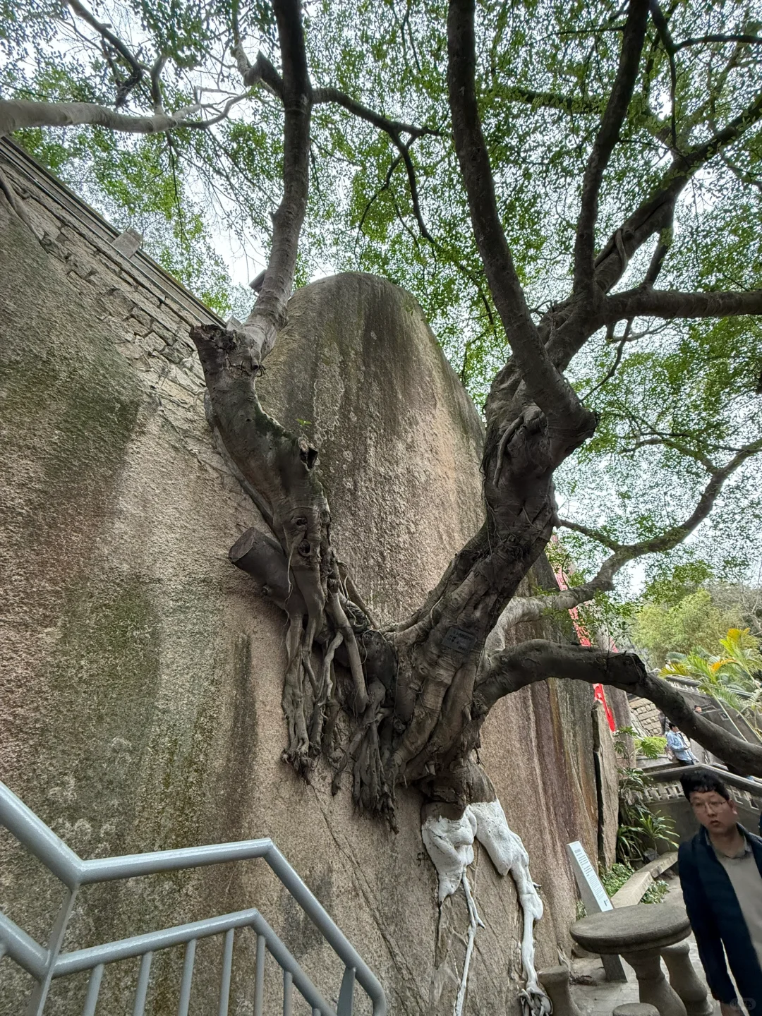 福建游记之4——厦门