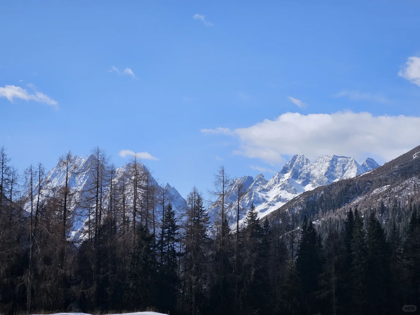 四姑娘山——双桥沟