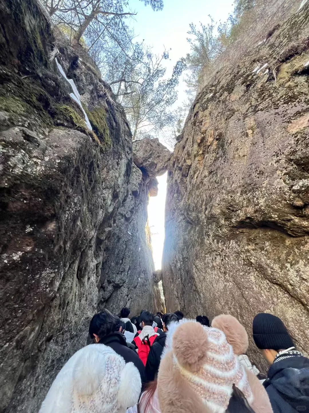 老君山一日游天天发车