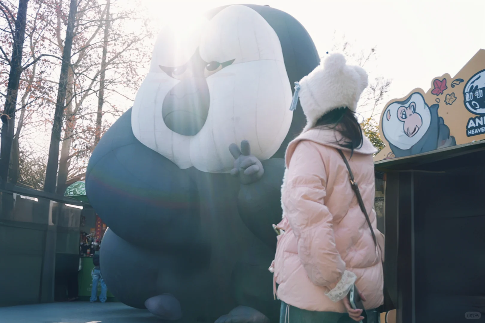 我想和你在南京牵手