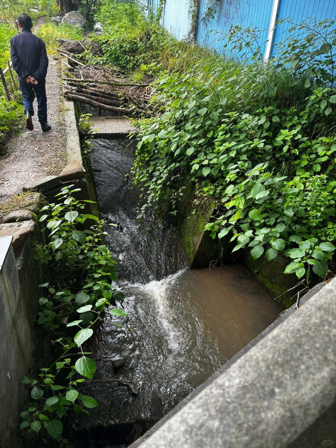 之我最爱的西溪南