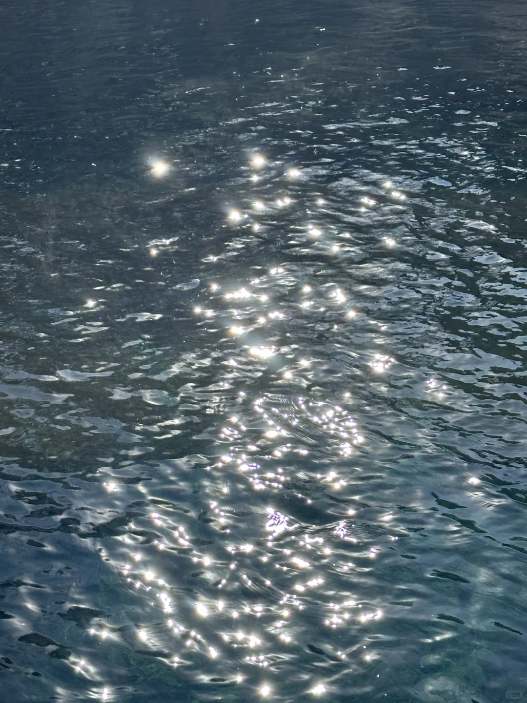 ⛲️ 寒假快乐游｜济南的冬天