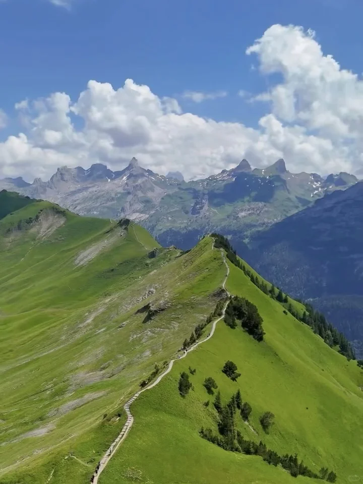 国内有这样的地方吗？