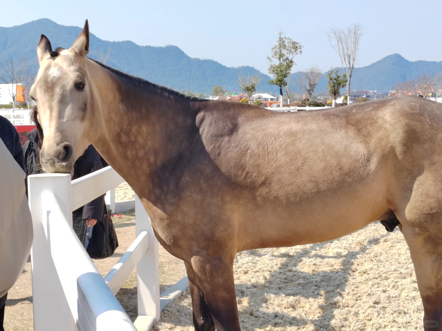 潇洒千年，最美桐庐