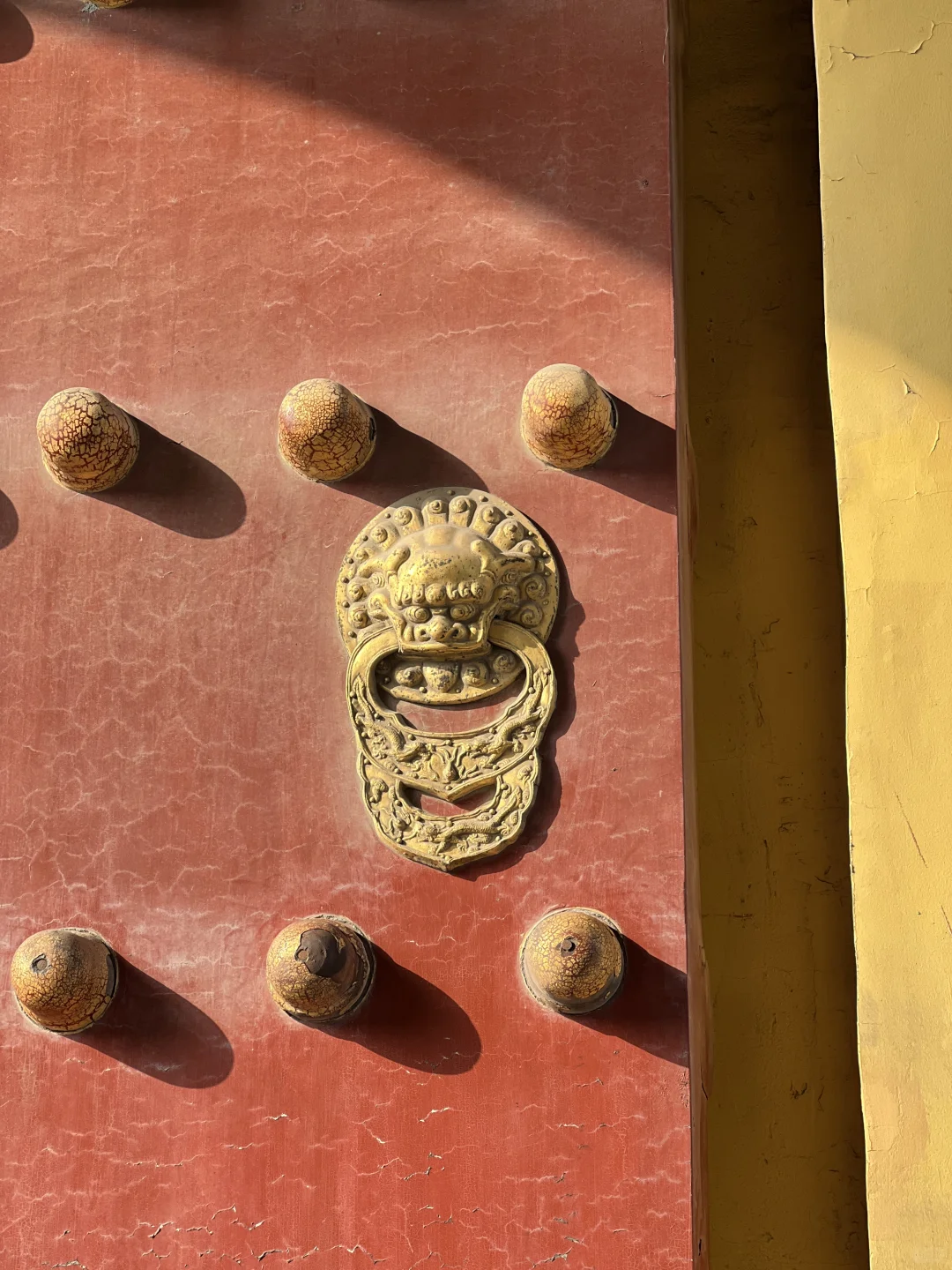 大年初二,天坛拍到了人生照片!