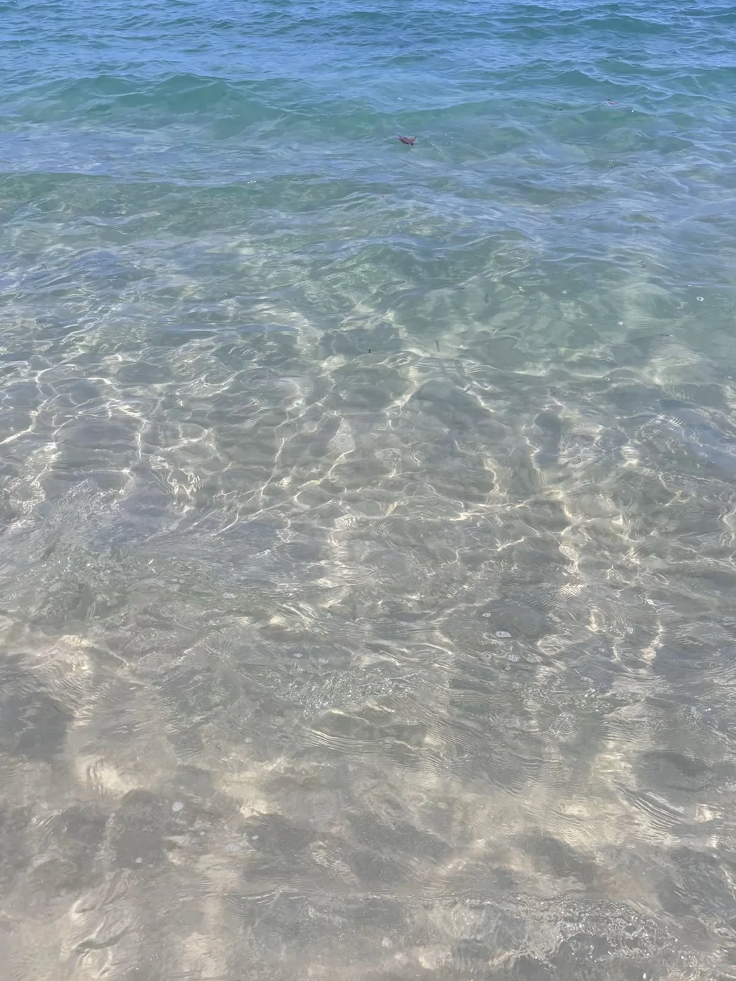 总有一天你会来到三亚