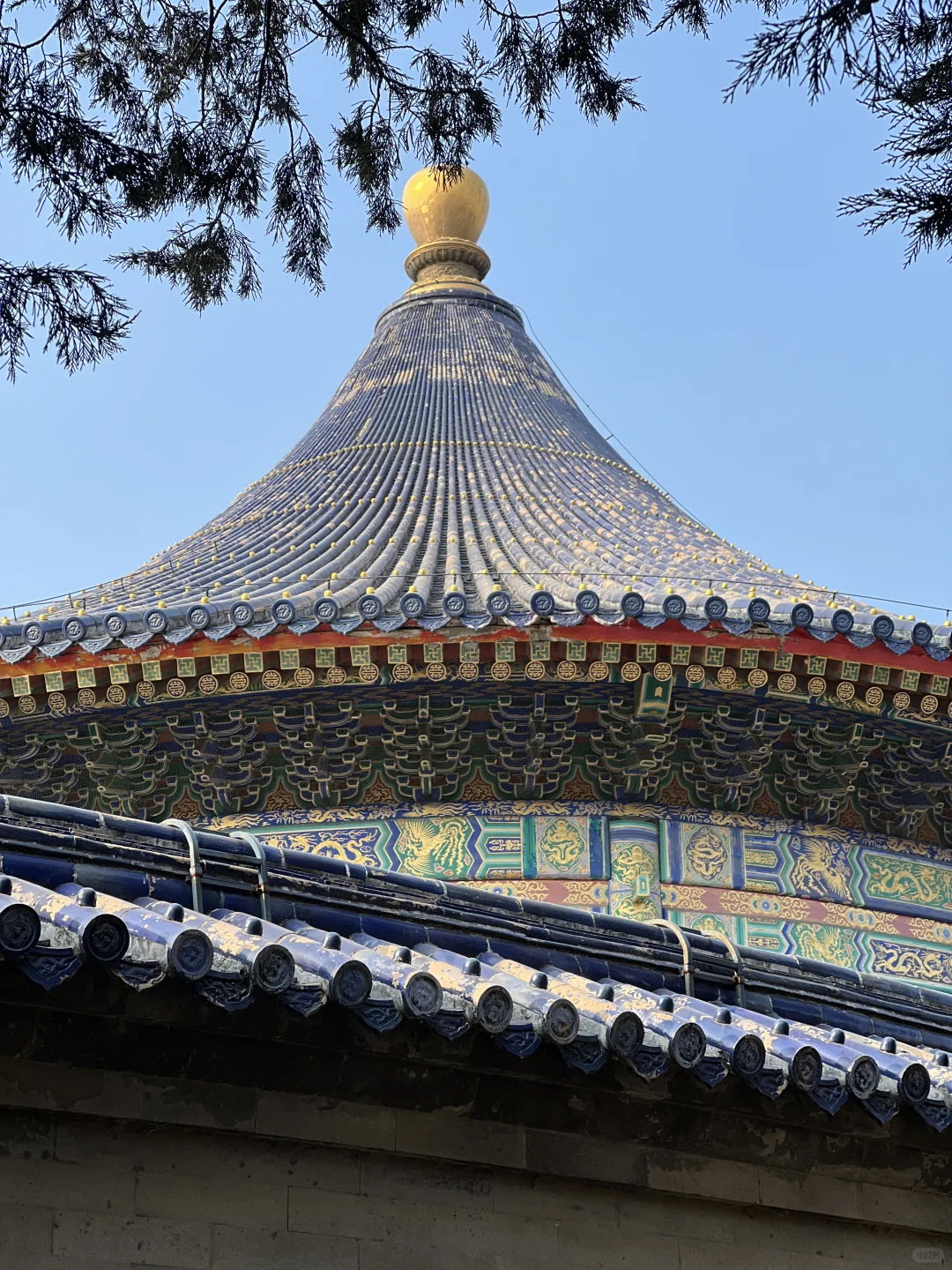 大年初二,天坛拍到了人生照片!