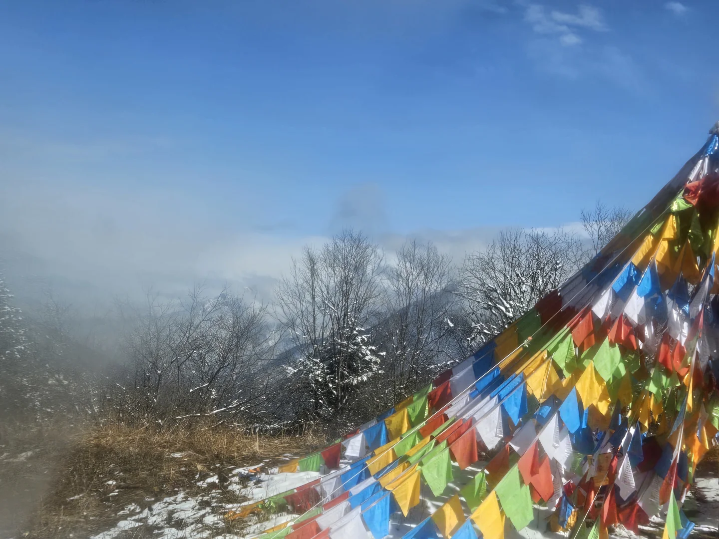 四姑娘山——双桥沟